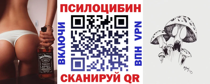 Купить где  Оха  Псилоцибиновые грибы Magic Shrooms 
